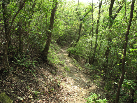20140426hike (265)